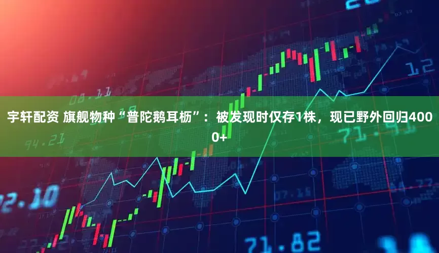 宇轩配资 旗舰物种“普陀鹅耳枥”：被发现时仅存1株，现已野外回归4000+