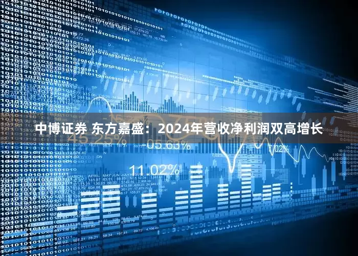中博证券 东方嘉盛：2024年营收净利润双高增长